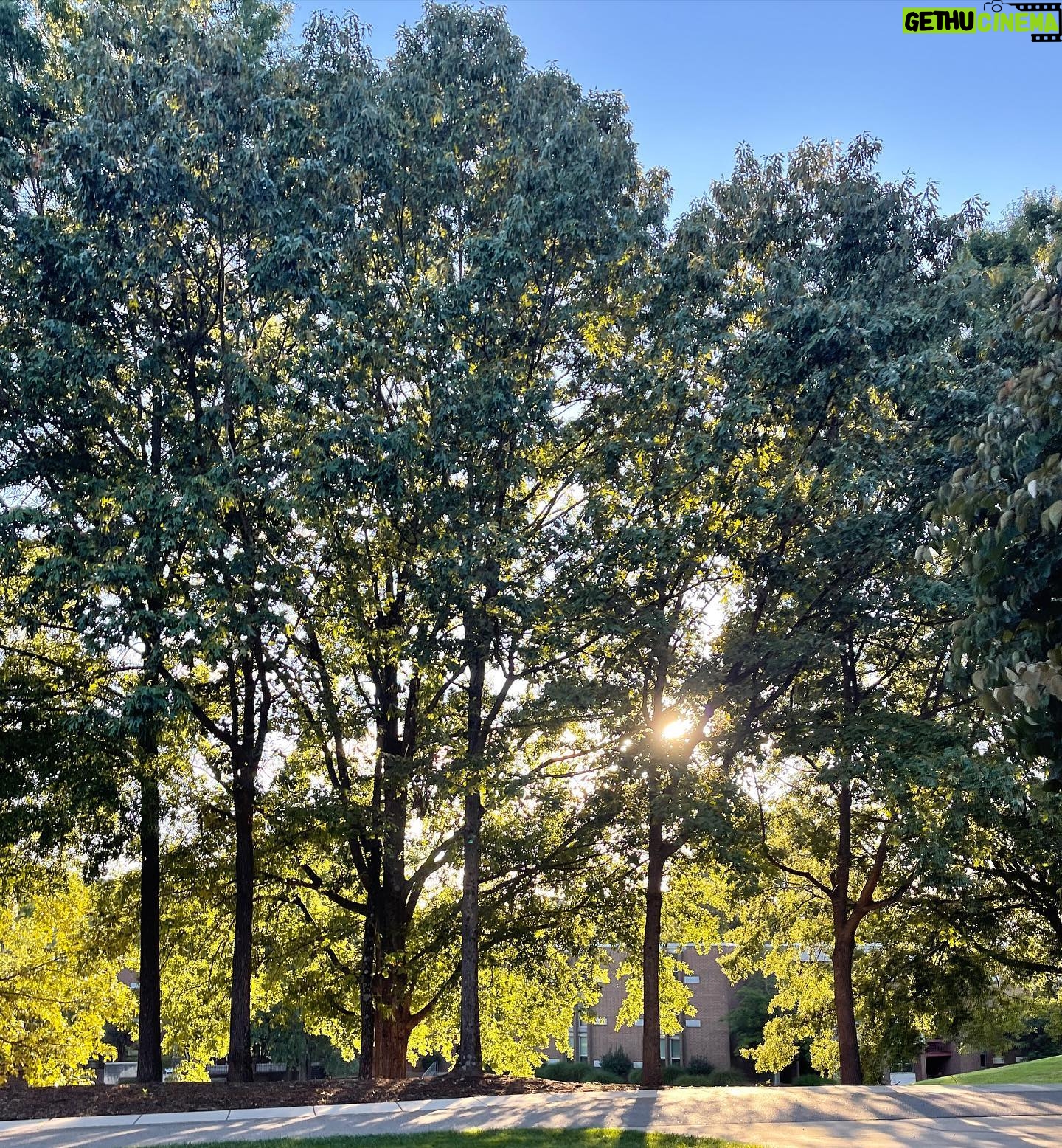 Ava Acres - 1.3K Likes - Golden hour appreciation post🌞🌞