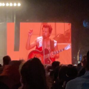 Ava Acres Instagram - Coachella went something like this