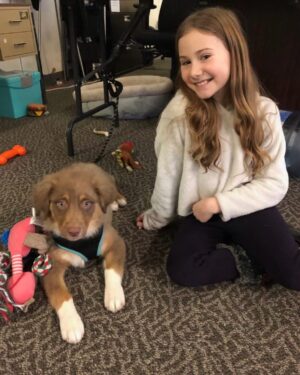 Ava Grace Cooper Instagram - A peek of a fit for WCTH season 11!!🥳🥳 and the cutest little pup all grown up🤭💕
#wcth #season11 #hearties 
#winston #dog #sneakpeak 
@hallmarkchannel @wcth_tv @winston_the_aussiedog