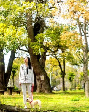 Ayako Kawahara Instagram - SAKURA
#tokyo #cherryblossom #spring #桜 #フレンチブルドッグ