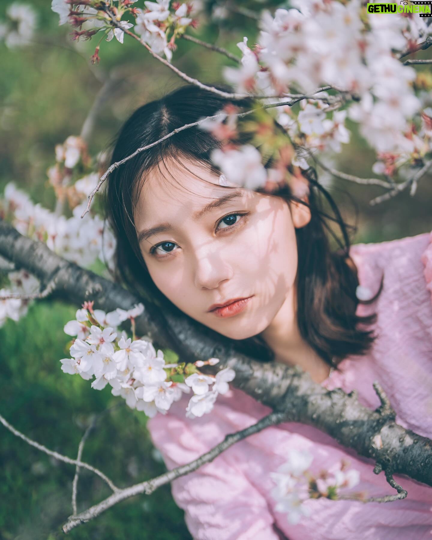 Ayano Kudo - 1.2K Likes - Cherry blossoms🌸