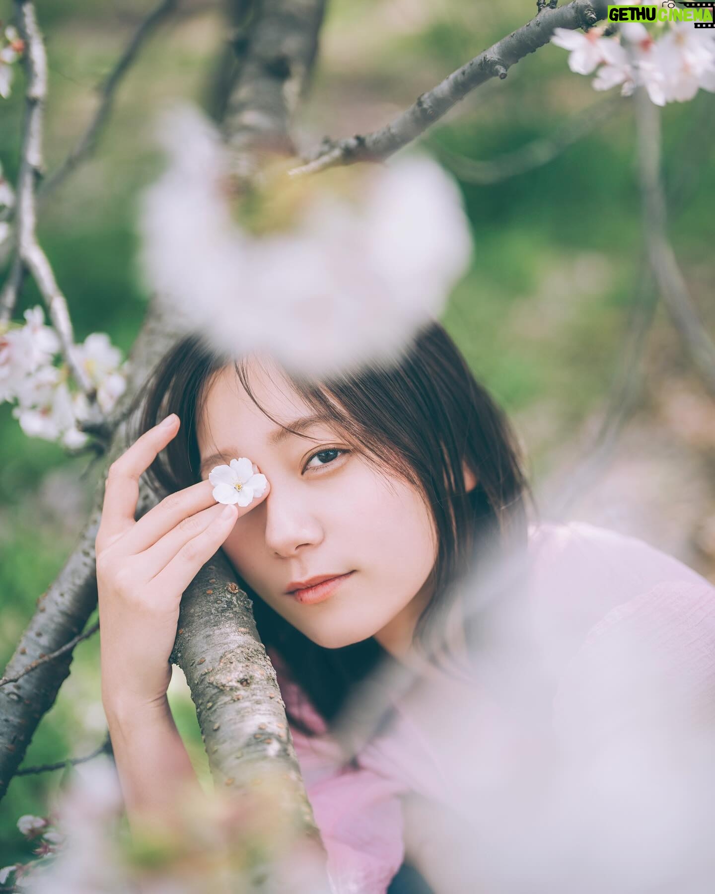 Ayano Kudo - 1.2K Likes - Cherry blossoms🌸