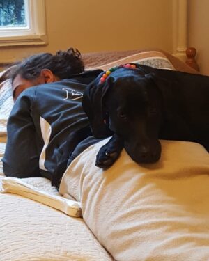 Ayça Mutlugil Instagram - Evlatlar 🙏❤️ @tan_erturkler13 #Queen #blacklabrador #labradorretriever