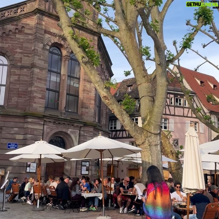 Aydan Koptur - 3 Likes - Böyle bitiremezsin yalnız Aydicim. Çok fotoğraf var… 🙇♀️💖🐆
•
•
#strasbourg #france #love #fairytail #diaries