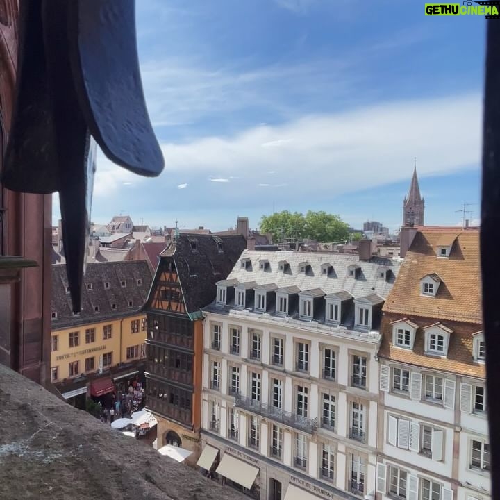 Aydan Koptur - 3 Likes - 🍥🪷🐷
•
•
•
#photodump #strasbourg #france #throwback #friday #tb #friends #holiday