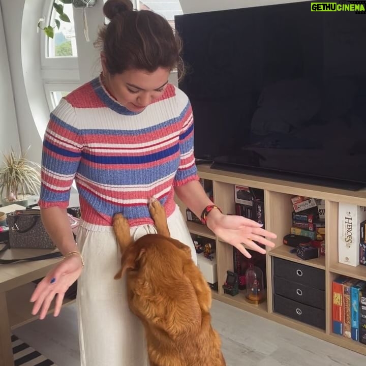 Aydan Koptur - 3 Likes - Bu serideki videoları es geçmeyiniz… 🙈😂🤫🥰 #dumplings #baselswitzerland #memory #tbt #rubyrose #evlimutluçocuklu