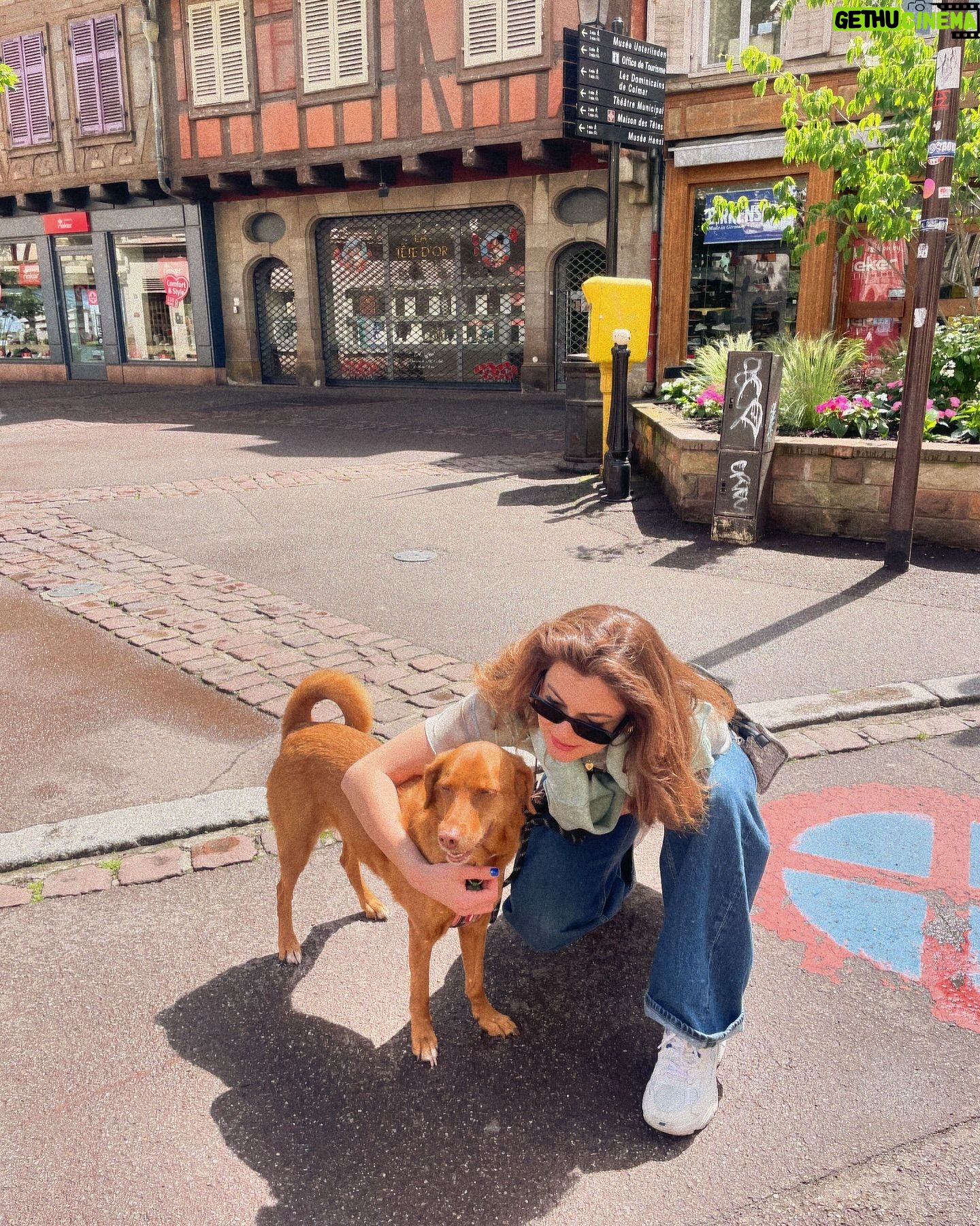 Aydan Koptur - 3 Likes - Renkli anılarda bugün… ☀️☁️🩵
#colmar #memories #tbt #throwback #tuesday #photodump
