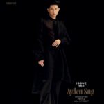Ayden Sng