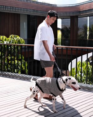 Ayden Sng Instagram - Dog days with Pepper in #BossHouseBali 🐾⁣⁣
⁣⁣
Swipe to the video for the moments we live for 😌 ⁣⁣
⁣⁣
#BeYourOwnBOSS⁣⁣
@BOSS ⁣⁣
⁣⁣