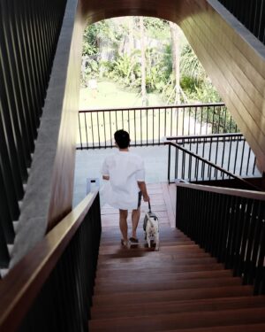 Ayden Sng Instagram - Dog days with Pepper in #BossHouseBali 🐾⁣⁣
⁣⁣
Swipe to the video for the moments we live for 😌 ⁣⁣
⁣⁣
#BeYourOwnBOSS⁣⁣
@BOSS ⁣⁣
⁣⁣