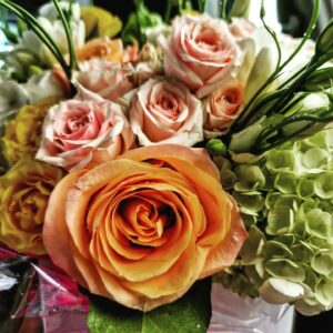 Ayisha Issa Instagram - Coming up roses #alwaysbeblooming