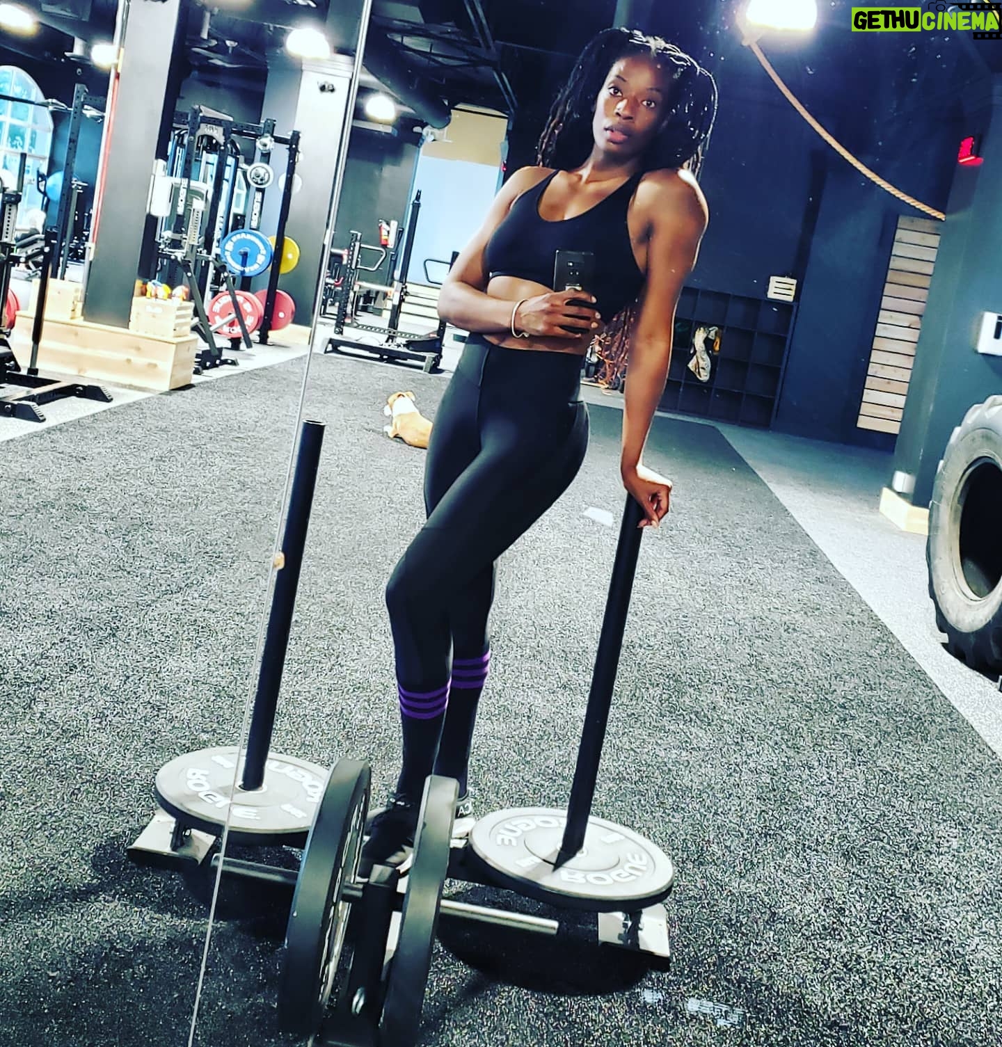 Ayisha Issa - 739 Likes - Done✔
.
.
.
.
.
#fitness #workout #ebonyfitnessfreaks #curves #legday #leggings #fitgirls #blackgirlmagic #strongwomen