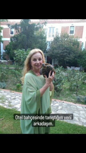 Ayşen İnci Instagram - 