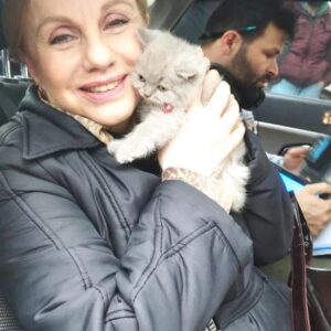 Ayşen İnci Instagram - Her yerde bir kedi bulunur
Ya da kedi beni bulur.