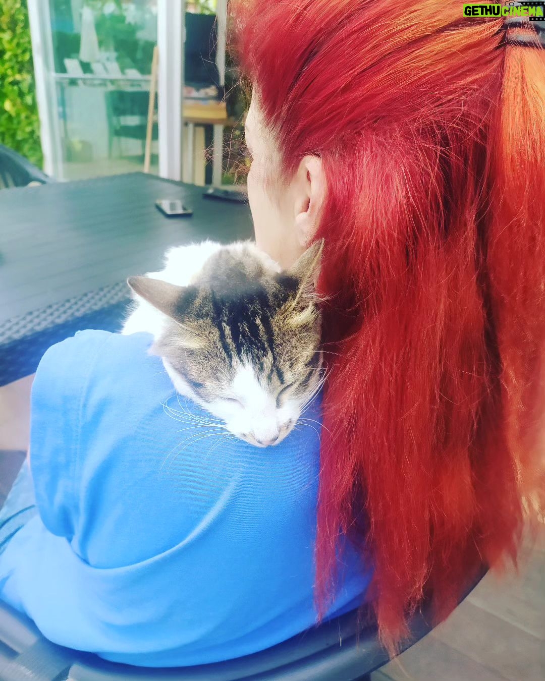 Ayşenur Yazıcı - 664 Likes - Parmağım ağrırken Havuzbaşında geldi kucağıma çıktı. Bana sarıldı. Nasıl ağladım sevinçten. Kedicik bana iyi geldin🐱 teşekkür ederim...