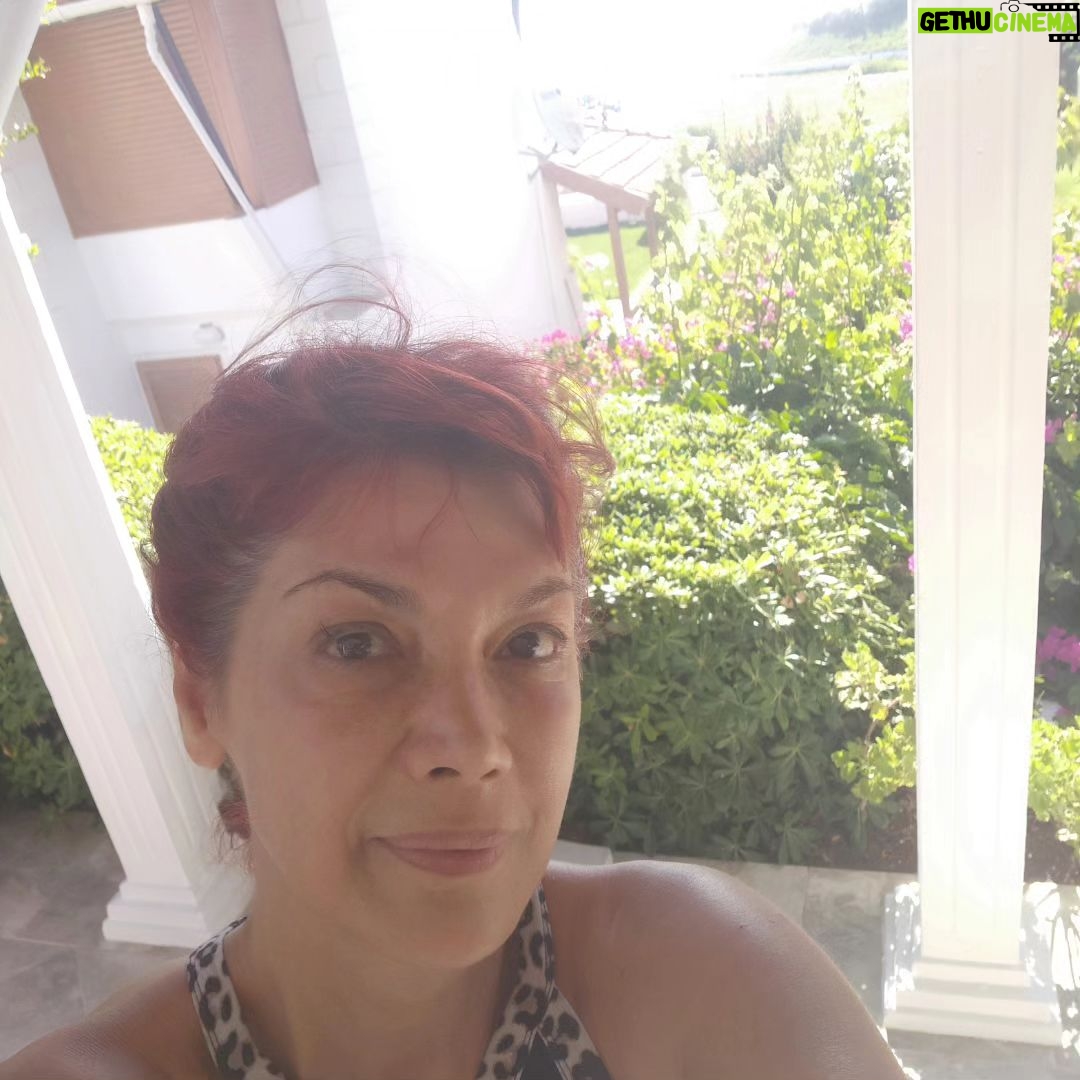 Ayşenur Yazıcı - 838 Likes - "Benim hiç gönlümü almadılar Ben hep kendi kendime bir köşede affettim herkesi.” Nilgun Marmara