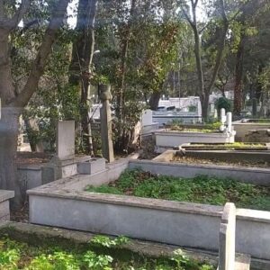 Ayşenur Yazıcı Instagram - Televizyondaki sahtekarlardan, dizilerdeki sahte hayatlardan, insan mezaliminden, merhametsizlikten , adaletsizlikten, paragözlerden, kibir abidelerinden, vicdansızlardan bıktınız ve tiksinti geldiyse; mezarlıklara gidin. Oturun dinleyin. Ağacın sesini, karganın söylediklerini, toprak altında sürünen solucanın hışırtısını... Güneş hepsine eşit vuruyor. Onların da bir zamanlar kibri, zenginliği ve zulmü vardı... Şimdi eşitler