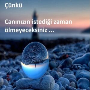 Ayşenur Yazıcı Instagram - Hayatta önceliklerimiz var evet... Ama ertelediklerimizin zamanı olmayabilir.