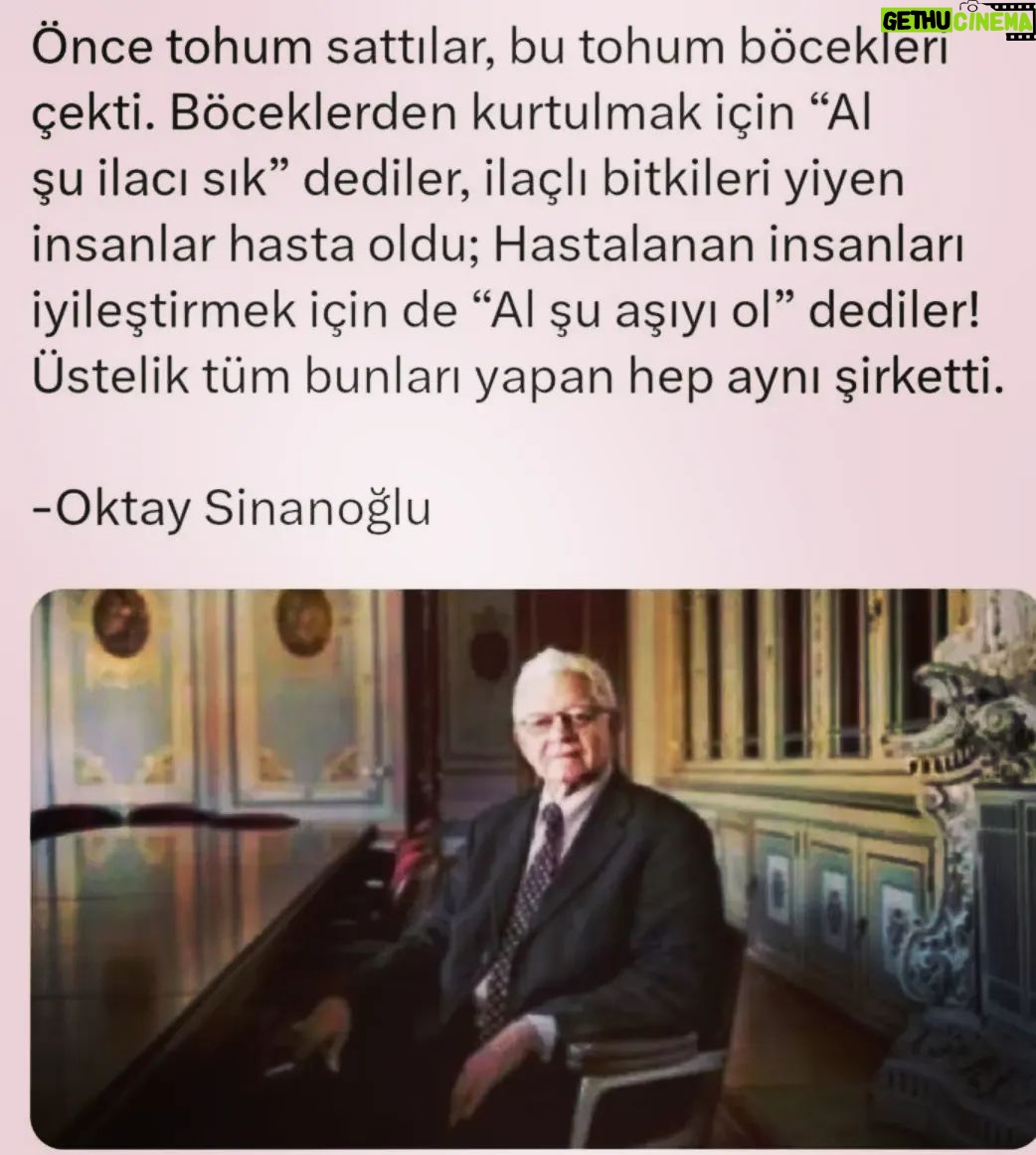 Ayşenur Yazıcı - 739 Likes -