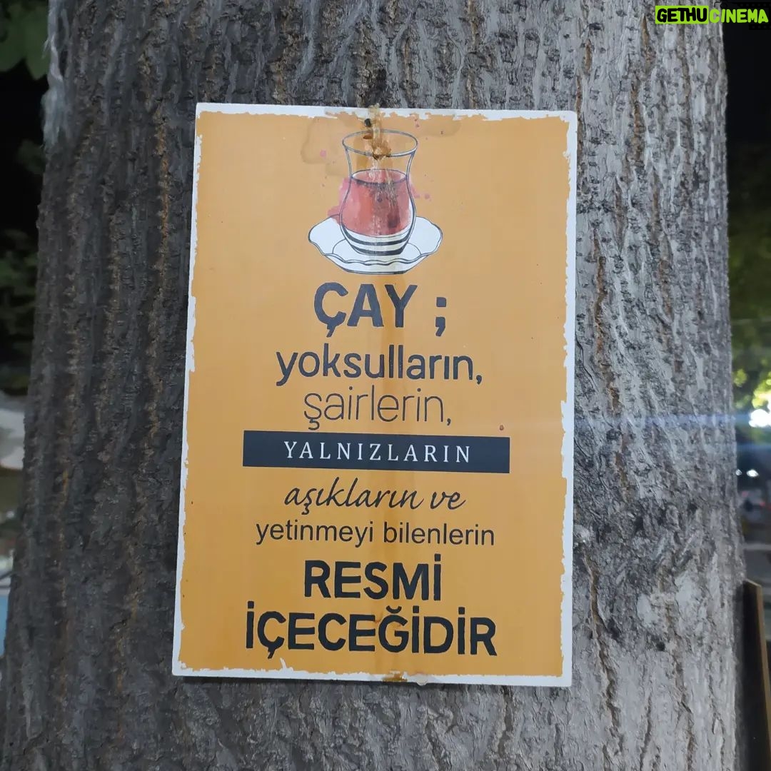 Ayşenur Yazıcı - 604 Likes - Kırkağaç'ta genelde öğrencilerin geldiği çay bahçesinden ☺️☺️☺️