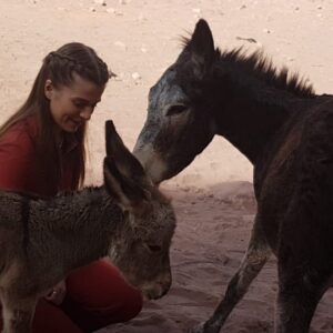 Aysha Shahaltough Instagram - Some behind the scenes photos for y'all ft. A goat, cat & some donkeys 
#flashbackfriday