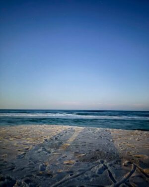 Azaria Carter Instagram - Happy Terrific Tuesday Everyone! This is just a friendly reminder to take some time out for yourself to have fun and refresh your mind!💙 #justazaria #peaceful #fun #vacationdump