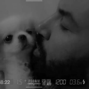 Azis Instagram - Познахте ли го? Срещнах го миналата вечер случайно. Търсехме с приятели един ресторант около “Оборище”. Срещу мен видях една позната муцуна и сърцето ми подскочи.С него успяхме да влезнем в душите, домовете и най-големите световни класации. Вече е голям.Онова пухкаво бебе остана в сърцата ни завинаги.И след сто години, Ерос отново ще умилява до сълзи хората по света.Обичам го и му благодаря за съвместната работа.Ти си божествен,Ерос! 🐶