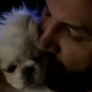 Azis Instagram - Познахте ли го? Срещнах го миналата вечер случайно. Търсехме с приятели един ресторант около “Оборище”. Срещу мен видях една позната муцуна и сърцето ми подскочи.С него успяхме да влезнем в душите, домовете и най-големите световни класации. Вече е голям.Онова пухкаво бебе остана в сърцата ни завинаги.И след сто години, Ерос отново ще умилява до сълзи хората по света.Обичам го и му благодаря за съвместната работа.Ти си божествен,Ерос! 🐶