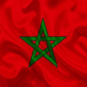 Aziz Hattab Instagram - Twahachna nfarhou  merci les lions 🇲🇦🇲🇦👏👏 
#الله الوطن الملك 
#dimamaroc
#dimamaghrib