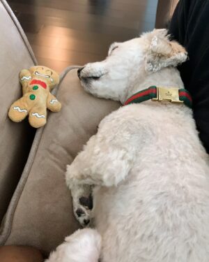 B.J. Britt Instagram - Sunday Funday😴