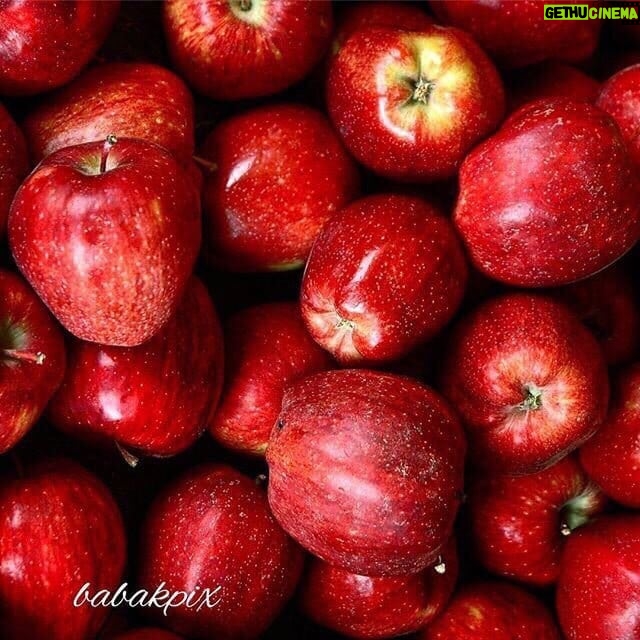 Babak Borzouyeh - 740 Likes - .
Ų¢ŲÆŁ
Ų§Ų² ŁŲ³ŁŲ³Ł Ų§ŁŲŖŲ§ŲÆ Ų²Ł
ŪŁ Ų§ŁŲ³Ų§Ł Ų“ŲÆ Ų
آ٠اگر Ų³ŪŲØ ŁŲØŁŲÆ Ų
Ų¹Ų“Ł ŚŁ ŲØŲ§ŪŲÆ Ł
ŪŚ©Ų±ŲÆ....
.
#Ų¹ŁŪŲ±Ų¶Ų§_Ų¢Ų°Ų±
.
#Ų¹Ų“Ł #ŁŁŲØ #Ų³ŪŲØ #ŁŲ±Ł
Ų² #Ų²ŁŲÆŚÆŪ
@babakborzouyeh
#ŲØŲ§ŲØŚ©_ŲØŲ±Ų²ŁŪŁ #عکاس_Ų³ŪŁŁ
Ų§_ŲŖŲ¦Ų§ŲŖŲ±
#Ł
ŲÆŪŲ± Ų¢Ł
ŁŲ²Ų“ŚÆŲ§Ł Ų³ŪŁŁ
Ų§ŪŪ #Ų“ŪŲÆŁŚÆŲ§Ų±
#Ł
ŲÆŲ±Ų³_عکاسŪ
#Ų¢Ł
ŁŲ²Ų“_Ų¹Ś©Ų§Ų³Ū #Ų¢Ł
ŁŲ²Ų“_Ų¢ŁŁŲ§ŪŁ #ŲŖŁŲ±_عکاسŪ
#عکاسŪ_Ł
Ų³ŲŖŁŲÆ_Ų§Ų¬ŲŖŁ
Ų§Ų¹Ū
#عکاسŪ_Ų³ŪŁŁ
Ų§
#عکاسŪ_ŲŖŲ¦Ų§ŲŖŲ±
#عکاسŪ_Ų®ŲØŲ±Ū
#عکاسŪ_Ł
ŪŲ±Ų§Ų«_ŁŲ±ŁŁŚÆŪ
#عکاسŪ_ŲµŁŲ¹ŲŖŪ
#عکاسŪ_ŲŖŲØŁŪŲŗŲ§ŲŖŪ
#عکاسŪ_Ł
Ų¹Ł
Ų§Ų±Ū
#babak_borzouyah #sheednegar
#photographer
#nationaliranianphotograoher
#cinemaphotographer
#theaterphotography
#culturalheritagephotographer
#industrislphotographer