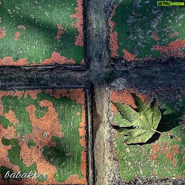 Babak Borzouyeh - 628 Likes - Ų§ŪŁ ŲØŲ§Ų± ŁŲ§Ų¹ŲÆŁ Ū ŲØŲ§Ų²Ū Ų±Ų§ Ų¹ŁŲ¶ Ś©ŁŪŁ
ŪŚ© Ų¹ŲµŲ± Ų²Ł
Ų³ŲŖŲ§ŁŪ ŲØŲ±Ų§Ū ŁŁŲ“ŪŲÆŁ ŁŁŁŁ ŲÆŲ¹ŁŲŖŁ
Ś©Ł
Ł
Ł ŲØŲ§ ŲŖŲ§Ų®ŪŲ± Ł
Ū Ų±Ų³Ł
Ų§ŁŁŁŲŖ ŲÆŁŲ“ŁŲ±Ł ŁŲ§ŪŲŖ Ų±Ų§ Ų“Ų¹Ų± Ś©Ł
ŲØŲ±Ų§ŪŁ
ŲØŲ®ŁŲ§Ł
#ŲØŁŁ
Ł_ŲØŁŁ
Ł_ŲÆŲ§Ų±
#Ų²Ł
Ų³ŲŖŲ§Ł
#ŁŁŁŁ
#Ų“ŪŲÆŁŚÆŲ§Ų± #ŲØŲ§ŲØŚ©_ŲØŲ±Ų²ŁŪŁ
@sheednegar
#ŲØŲ§ŲØŚ©_ŲØŲ±Ų²ŁŪŁ #عکاس_Ų³ŪŁŁ
Ų§_ŲŖŲ¦Ų§ŲŖŲ±
#Ł
ŲÆŪŲ± Ų¢Ł
ŁŲ²Ų“ŚÆŲ§Ł Ų³ŪŁŁ
Ų§ŪŪ #Ų“ŪŲÆŁŚÆŲ§Ų±
#Ł
ŲÆŲ±Ų³_عکاسŪ
#Ų¢Ł
ŁŲ²Ų“_Ų¹Ś©Ų§Ų³Ū #Ų¢Ł
ŁŲ²Ų“_Ų¢ŁŁŲ§ŪŁ #ŲŖŁŲ±_عکاسŪ
#عکاسŪ_Ł
Ų³ŲŖŁŲÆ_Ų§Ų¬ŲŖŁ
Ų§Ų¹Ū
#عکاسŪ_Ų³ŪŁŁ
Ų§
#عکاسŪ_ŲŖŲ¦Ų§ŲŖŲ±
#عکاسŪ_Ų®ŲØŲ±Ū
#عکاسŪ_Ł
ŪŲ±Ų§Ų«_ŁŲ±ŁŁŚÆŪ
#عکاسŪ_ŲµŁŲ¹ŲŖŪ
#عکاسŪ_ŲŖŲØŁŪŲŗŲ§ŲŖŪ
#عکاسŪ_Ł
Ų¹Ł
Ų§Ų±Ū
#babak_borzouyah #sheednegar
#photographer
#nationaliranianphotograoher
#cinemaphotographer
#theaterphotography
#culturalheritagephotographer
#industrislphotographer
#andadvertisingphotographe