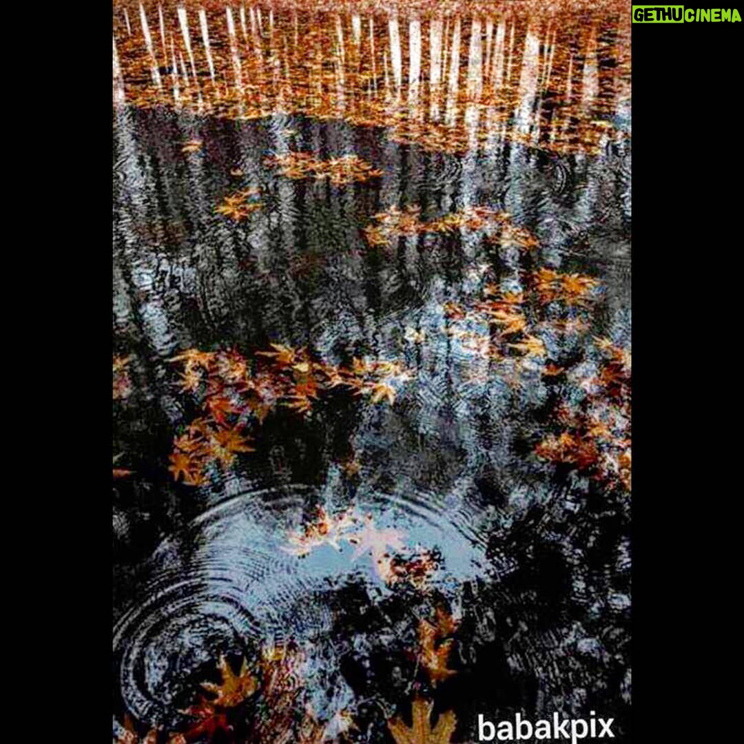 Babak Borzouyeh - 834 Likes - .
Ų²ŁŚÆ ŲØŲ§Ų±Ų§Ł ŲØŁ ŲµŲÆŲ§ Ł
Ū Ų¢ŪŲÆ
Ų¢ŲÆŁ
Ų§ŪŁŲ¬Ų§ ŲŖŁŁŲ§Ų³ŲŖ
Ł ŲÆŲ± Ų§ŪŁ ŲŖŁŁŲ§ŪŪŲ Ų³Ų§ŪŁ Ū ŁŲ§Ų±ŁŁŪ ŲŖŲ§ Ų§ŲØŲÆŪŲŖ Ų¬Ų§Ų±ŪŲ³ŲŖ
ŲØŁ Ų³Ų±Ų§Ųŗ Ł
Ł Ų§ŚÆŲ± Ł
Ū Ų¢ŪŪŲÆŲ
ŁŲ±Ł
Ł Ų¢ŁŲ³ŲŖŁ ŲØŪŲ§ŪŪŲÆ..
.
#Ų³ŁŲ±Ų§ŲØ_سپŁŲ±Ū
#ŲØŲ§ŲØŚ©_ŲØŲ±Ų²ŁŪŁ #عکاس_Ų³ŪŁŁ
Ų§_ŲŖŲ¦Ų§ŲŖŲ±
#Ł
ŲÆŪŲ± Ų¢Ł
ŁŲ²Ų“ŚÆŲ§Ł Ų³ŪŁŁ
Ų§ŪŪ #Ų“ŪŲÆŁŚÆŲ§Ų±
#Ł
ŲÆŲ±Ų³_عکاسŪ
#Ų¢Ł
ŁŲ²Ų“_Ų¹Ś©Ų§Ų³Ū #Ų¢Ł
ŁŲ²Ų“_Ų¢ŁŁŲ§ŪŁ #ŲŖŁŲ±_عکاسŪ
#عکاسŪ_Ł
Ų³ŲŖŁŲÆ_Ų§Ų¬ŲŖŁ
Ų§Ų¹Ū
#عکاسŪ_Ų³ŪŁŁ
Ų§
#عکاسŪ_ŲŖŲ¦Ų§ŲŖŲ±
#عکاسŪ_Ų®ŲØŲ±Ū
#عکاسŪ_Ł
ŪŲ±Ų§Ų«_ŁŲ±ŁŁŚÆŪ
#عکاسŪ_ŲµŁŲ¹ŲŖŪ
#عکاسŪ_ŲŖŲØŁŪŲŗŲ§ŲŖŪ
#عکاسŪ_Ł
Ų¹Ł
Ų§Ų±Ū
#babak_borzouyah #sheednegar
#photographer
#nationaliranianphotograoher
#cinemaphotographer
#theaterphotography
#culturalheritagephotographer
#industrislphotographer