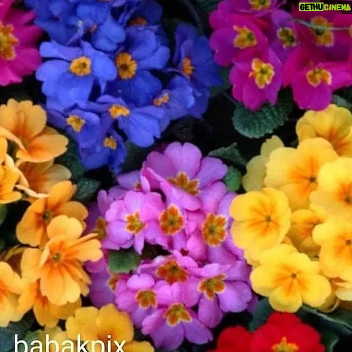 Babak Borzouyeh - 544 Likes - Ų³Ų±ŚŲ“Ł
Ł
ŲŁŲ§ŲŖ Ų¢ŲÆŁ
Ł "ŲÆŁ" Ų§Ų³ŲŖ
ŁŲ± Ų¢ŁŚŁ Ų±Ų§
ŁŁ Ų§Ų² ŲÆŁ ŲØŚÆŲ°Ų±Ų§ŁŁŁ
ŲÆŁŲ± ŁŲ§ Ų²ŁŲÆ ŁŁ
Ų§Ł
ŲÆŲ± Ų²ŁŲÆŚÆŁŁ
Ų§Ł Ų±Ų® Ų®ŁŲ§ŁŲÆ ŲÆŲ§ŲÆ
Ł¾Ų³Ų ŲØŁ ŲÆŁ ŲØŁŲ¢Ł
ŁŲ²ŁŁ
Ś©Ł ŁŁŲ· ŁŁŁŁ ŁŲ§
Ų±Ų§ Ų§Ų² Ų®ŁŲÆ ŲØŚÆŲ°Ų±Ų§ŁŲÆ
Ų³ŁŲ§Ł
ŲµŲØŲŲŖŁŁ ŲØŲ®ŪŲ±ŁŁŪŚ©Ū
#Ų³Ł_Ų“ŁŲØŁ_Ł
بارک
#ŲØŲ§ŲØŚ©_ŲØŲ±Ų²ŁŪŁ #عکاس_Ų³ŪŁŁ
Ų§_ŲŖŲ¦Ų§ŲŖŲ±
#Ł
ŲÆŪŲ± Ų¢Ł
ŁŲ²Ų“ŚÆŲ§Ł Ų³ŪŁŁ
Ų§ŪŪ #Ų“ŪŲÆŁŚÆŲ§Ų±
#Ł
ŲÆŲ±Ų³_عکاسŪ
#Ų¢Ł
ŁŲ²Ų“_Ų¹Ś©Ų§Ų³Ū #Ų¢Ł
ŁŲ²Ų“_Ų¢ŁŁŲ§ŪŁ #ŲŖŁŲ±_عکاسŪ
#عکاسŪ_Ł
Ų³ŲŖŁŲÆ_Ų§Ų¬ŲŖŁ
Ų§Ų¹Ū
#عکاسŪ_Ų³ŪŁŁ
Ų§
#عکاسŪ_ŲŖŲ¦Ų§ŲŖŲ±
#عکاسŪ_Ų®ŲØŲ±Ū
#عکاسŪ_Ł
ŪŲ±Ų§Ų«_ŁŲ±ŁŁŚÆŪ
#عکاسŪ_ŲµŁŲ¹ŲŖŪ
#عکاسŪ_ŲŖŲØŁŪŲŗŲ§ŲŖŪ
#عکاسŪ_Ł
Ų¹Ł
Ų§Ų±Ū
#babak_borzouyah #sheednegar
#photographer
#nationaliranianphotograoher
#cinemaphotographer
#theaterphotography
#culturalheritagephotographer
#industrislphotographer
#andadvertisingphotographe