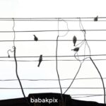 Babak Borzouyeh