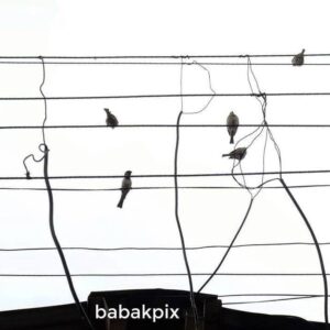 Babak Borzouyeh Instagram - من فکر می کنم
الکساندر هم عاشق بود
که تلفن را آفرید
وگرنه
به عقل هیچ آدم عاقلی نمی رسید
که می توان
حضور گرم کسی را
از سیمهای سرد عبور داد!

#محمد_احمدی

#تلفن
@babakborzouyeh 
#بابک_برزویه #عکاس_سینما_تئاتر
#مدیر آموزشگاه سینمایی #شیدنگار
#مدرس_عکاسی
#آموزش_عکاسی #آموزش_آنلاین #تور_عکاسی
#عکاسی_مستند_اجتماعی
#عکاسی_سینما
#عکاسی_تئاتر
#عکاسی_خبری
#عکاسی_میراث_فرهنگی
#عکاسی_صنعتی
#عکاسی_تبلیغاتی
#عکاسی_معماری

#babak_borzouyah #sheednegar
#photographer
#nationaliranianphotograoher 
#cinemaphotographer
#theaterphotography
#culturalheritagephotographer
#industrislphotographer
#andadvertisingphotographe