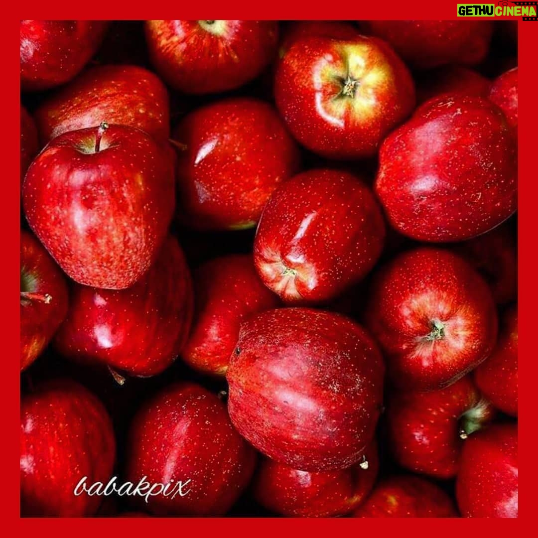 Babak Borzouyeh - 600 Likes - .
.
Ų±ŁŲ²Ū Ų®ŁŲ§ŁŁ
Ų¢Ł
ŲÆ
٠پŪŲ§Ł
Ū Ų®ŁŲ§ŁŁ
Ų¢ŁŲ±ŲÆŲ
ŲÆŲ± رگ ŁŲ§ ŁŁŲ± Ų®ŁŲ§ŁŁ
Ų±ŪŲ®ŲŖ
Ł ŲµŲÆŲ§ Ų®ŁŲ§ŁŁ
ŲÆŲ± ŲÆŲ§ŲÆ:
Ų§Ū Ų³ŲØŲÆŁŲ§ŲŖŲ§Ł پر Ų®ŁŲ§ŲØ!
Ų³ŪŲØ Ų¢ŁŲ±ŲÆŁ
Ų
Ų³ŪŲØ Ų³Ų±Ų® Ų®ŁŲ±Ų“ŪŲÆ....
Ł
٠گر٠خŁŲ§ŁŁ
Ų²ŲÆŲ
ŚŲ“Ł
Ų§Ł Ų±Ų§ ŲØŲ§ Ų®ŁŲ±Ų“ŪŲÆ
ŲÆŁ ŁŲ§ Ų±Ų§ ŲØŲ§ Ų¹Ų“ŁŲ
Ų³Ų§ŪŁ ŁŲ§ Ų±Ų§ ŲØŲ§ Ų¢ŲØŲ
ؓاخ٠ŁŲ§ Ų±Ų§ ŲØŲ§ ŲØŲ§ŲÆ... #Ų³ŁŲ±Ų§ŲØ_سپŁŲ±Ū
#عکاسŪ_Ł
ŁŁŁŁ
Ū
#عکس:#ŲØŲ§ŲØŚ©_ŲØŲ±Ų²ŁŪŁ
(ŲØŲ®Ų“Ū Ų§Ų² Ų“Ų¹Ų± Ų³ŪŲØ Ų³Ų±Ų® Ų®ŁŲ±Ų“ŪŲÆ
#ŲØŲ§ŲØŚ©_ŲØŲ±Ų²ŁŪŁ #عکاس_Ų³ŪŁŁ
Ų§_ŲŖŲ¦Ų§ŲŖŲ±
#Ł
ŲÆŪŲ± Ų¢Ł
ŁŲ²Ų“ŚÆŲ§Ł Ų³ŪŁŁ
Ų§ŪŪ #Ų“ŪŲÆŁŚÆŲ§Ų±
#Ł
ŲÆŲ±Ų³_عکاسŪ
#Ų¢Ł
ŁŲ²Ų“_Ų¹Ś©Ų§Ų³Ū #Ų¢Ł
ŁŲ²Ų“_Ų¢ŁŁŲ§ŪŁ #ŲŖŁŲ±_عکاسŪ
#عکاسŪ_Ł
Ų³ŲŖŁŲÆ_Ų§Ų¬ŲŖŁ
Ų§Ų¹Ū
#عکاسŪ_Ų³ŪŁŁ
Ų§
#عکاسŪ_ŲŖŲ¦Ų§ŲŖŲ±
#عکاسŪ_Ų®ŲØŲ±Ū
#عکاسŪ_Ł
ŪŲ±Ų§Ų«_ŁŲ±ŁŁŚÆŪ
#عکاسŪ_ŲµŁŲ¹ŲŖŪ
#عکاسŪ_ŲŖŲØŁŪŲŗŲ§ŲŖŪ
#عکاسŪ_Ł
Ų¹Ł
Ų§Ų±Ū
#babak_borzouyah #sheednegar
#photographer
#nationaliranianphotograoher
#cinemaphotographer
#theaterphotography