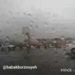 Babak Borzouyeh