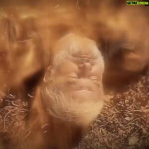Babak Zarrin Instagram - و پایان ....

ورق بزنید...
پیش درآمد سریال افرا
@afra.serial 
قسمتهای ۳۱ تا ۳۸ ( قسمت پایانی )

موسیقی : بابک زرین
@babakzarrin_official 
تنظیم موسیقی پیش درآمدها : حامد حسینی
@hamedhosseinik 
ساخت ویدیو پیش درآمدها :محمددارایی
@mohammad.daraii 

کارگردان : بهرنگ توفیقی @behrangtofighi 
تهیه کننده : کامبیزدارابی
@darabikami

#بابک_زرین #سریال_افرا #موسیقی_متن_سریال