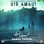 Babak Zarrin