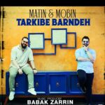 Babak Zarrin