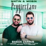 Babak Zarrin