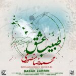 Babak Zarrin