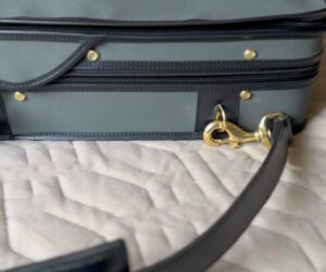 Bacem Anas Romdhani Instagram - Santa’s Christmas present came early this year 🤭🎁
So happy to receive a bespoke violin case from T.A Timms & Son @t.a._timms_son 
Their craftsmanship is unmatched. 

Thank you T.A Timms & Son for the wonderful creation and I look forward to cherishing it for the years to come. 
(Ps: Desmond this case will look after my “ex.Menuhin” violin quite nicely 🎻🙏😴🥰)