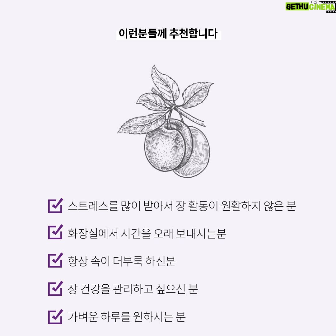 Baek Bo-ram - 3 Likes - #피크플럼매실오픈
3차오픈은요,
1boX 구성에 1만원정도 가격인하로 오픈!
그래서 매실이 먼데~ 뭐가 좋은데~ 어떻게 먹는건데??
정리 해드릴게여:)
인공첨가물❌ 화학첨가물❌
특허 제조 방식으로 만들어진 반건조 100% 청매실 입니다.
📌청매실
장내 해로운 균의 번식을 억제하고 장의 연동 운동에 도움을 주며 체질이 산성으로 기우는 것을 막아줌
📌히알루론산
피부에서 자연적으로 발견되는 설탕으로 수분을 함유하고 있으며 수분을 공급하고 탱탱하게 유지하는데 도움
예로부터 소화가 안될 때 매실청을 먹었지요,
그 이유가 바로 매실은 천연 소화제 역할을 하기 때문이에요
피크플럼 매실은 100% 매실을 반건조 시켜 만든 천연 매실로
소화불량, 변비 있으신분들 드시면 정말 효과적인 제품이에요!
🟢 매실 성분
✅ 피크린산 성분: 독성 물질을 분해하고 식중독 예방에 도움
✅ 피루브산 성분: 독소를 제거해 간을 보호하며
✅ 유기산: 체내 유해균 증식, 억제 및 정상화, 장의 연동운동 촉진
✅ 풍부한 칼슘: 포도의 2배, 멜론의 4배 정도의 칼슘 함유
✅ 천연 소화제: 매실의 신맛이 위액 분비량을 늘려 살균 작용
📣반건조된 청매실 100%이기 때문에, 드실때 조심해서 드시고!
씨는 꼭 뱉어주셔야 합니다!