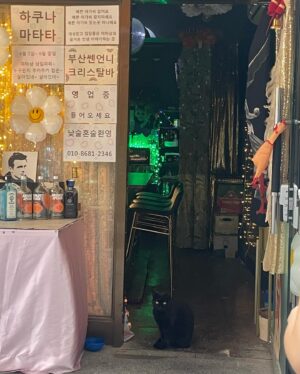 Baek Soo-hee Instagram - 1년전 사진 이제야 올리는 나 어떤데~ 살빼야지 룰루~~