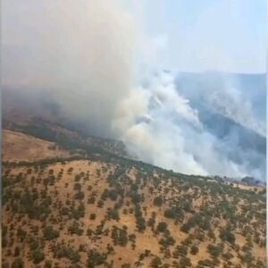 Bahadır Yenişehirlioğlu Instagram - Manisa'mızın Salihli ilçesinde çıkan orman yangınından etkilenen tüm hemşehrilerime geçmiş olsun dileklerimi iletiyorum.

Yangına; 4 uçak, 3 helikopter, 10 arazöz, 2 su ikmal ve 2 dozer ile havadan ve karadan müdahale edilmektedir.

En kısa sürede kontrol altına alınmasını temenni ediyor; sahada görev yapan personelimize kolaylıklar diliyorum.

#Manisa #Salihli
