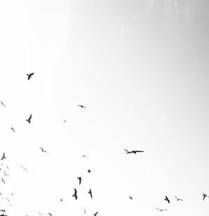 Bala Atabek Instagram - her türlüsü, gökyüzü