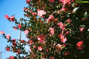 Bang Jae-min Instagram - 🌺