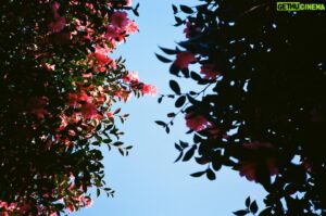 Bang Jae-min Instagram - 🌺